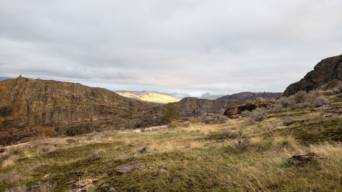 Trail through McLaughlin Canyon on a November morning with moody light and dry grass