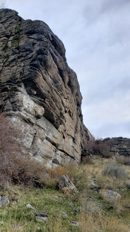 McLaughlin Canyon valley with fall colors showing gold and amber vegetation