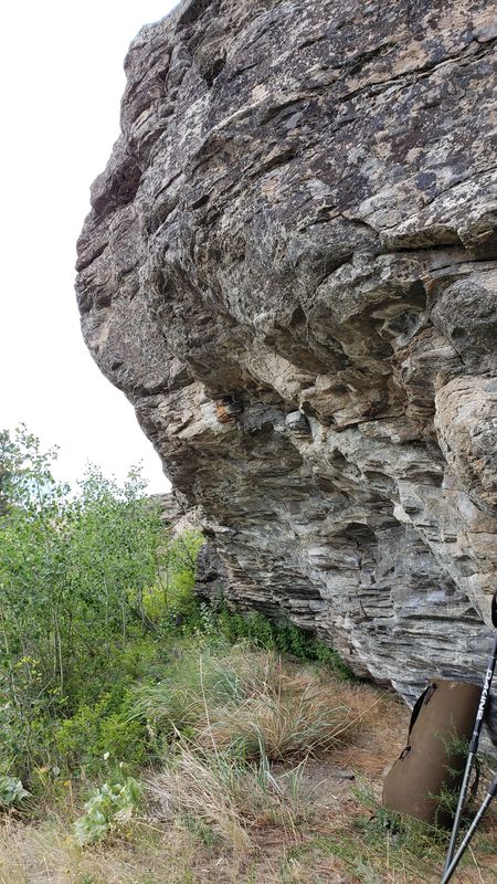 Close-up of gneiss rock texture showing banded quartz, feldspar, and biotite mineral layers